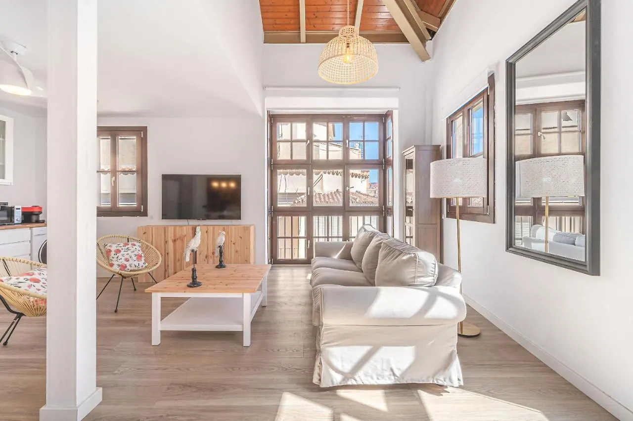 Dona Elvira. Las Terrazas Malaga Apartment